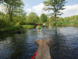 Kayaking 2015